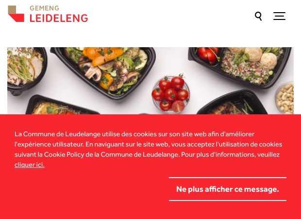 Screenshot: Homepage Gemeinde Leudelingen 