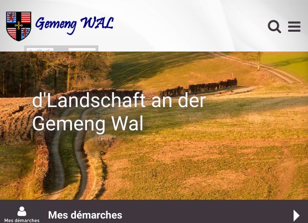 Screenshot: Homepage Gemeinde Wahl